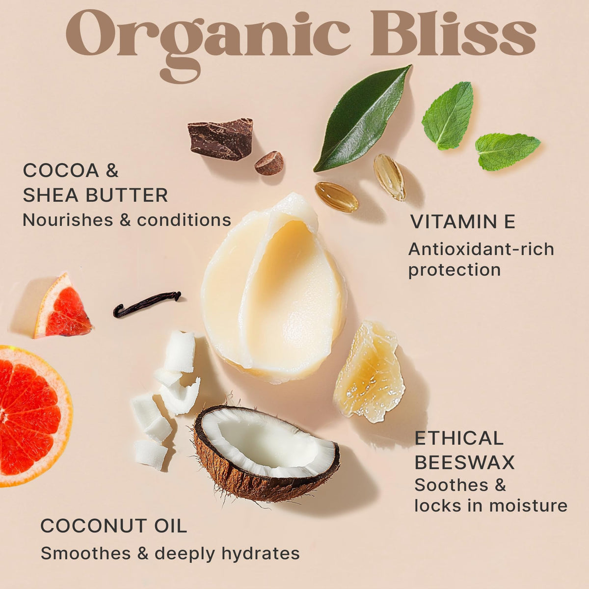 USDA Organic Lip Balm - USA Made with Natural Ingredients - 12-Pack (6 flavors) - Beeswax, Coconut Oil, Vitamin E - Moisturizing Chapstick for Dry Beauty & Personal Care Beauty by Earth