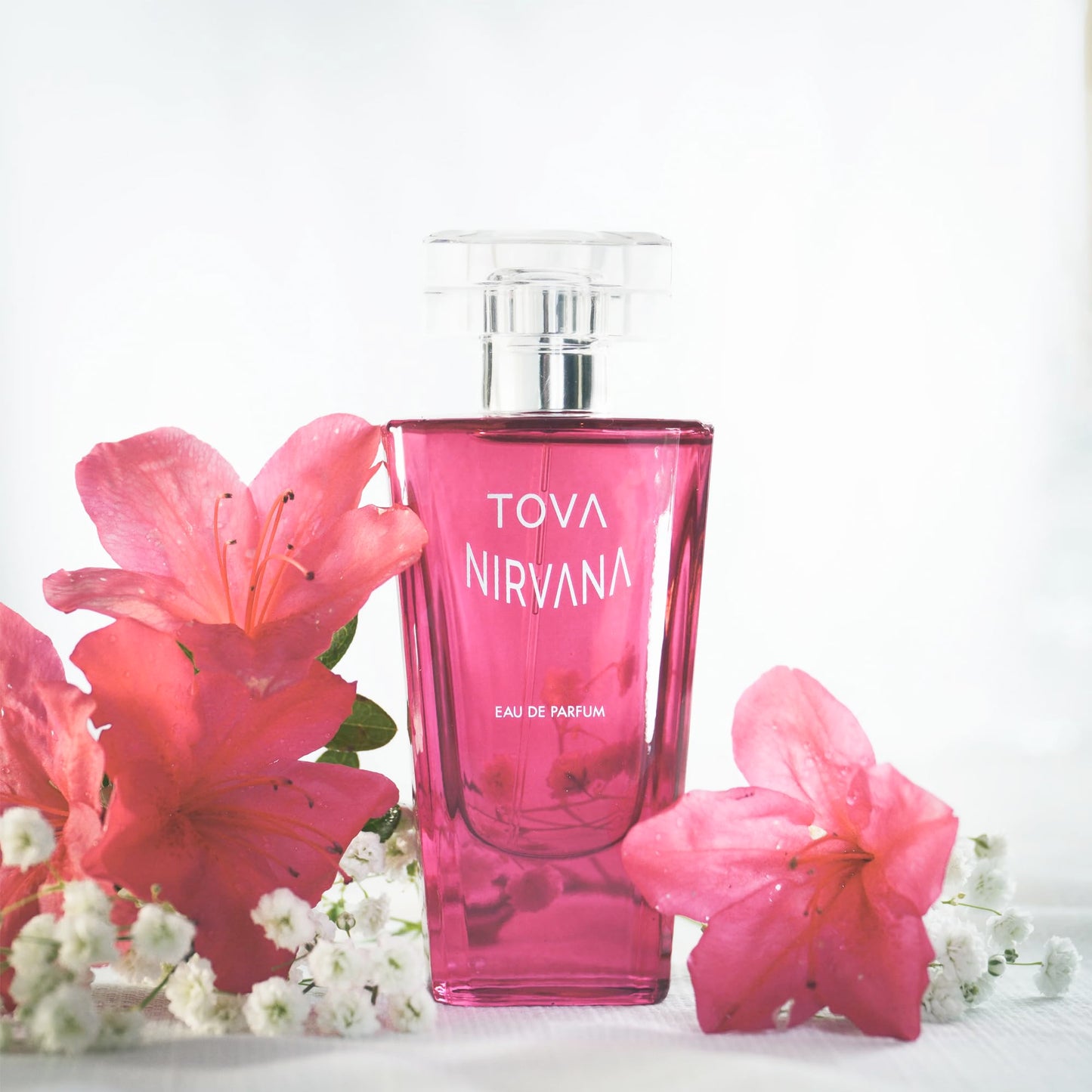 Tova Nirvana Ladies Eau De Parfum Spray 1.7 Oz Beauty & Personal Care Tova