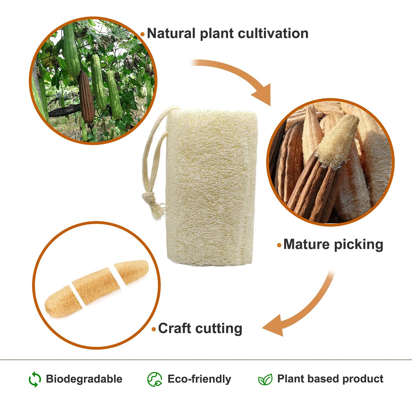UOPTY Shower Natural Loofah Bath Sponge, Exfoliating Body Luffa for Clean Skin, Scrubbing Sponge for Kitchen(4 Pcs) White Beauty and Personal Care UOPTY