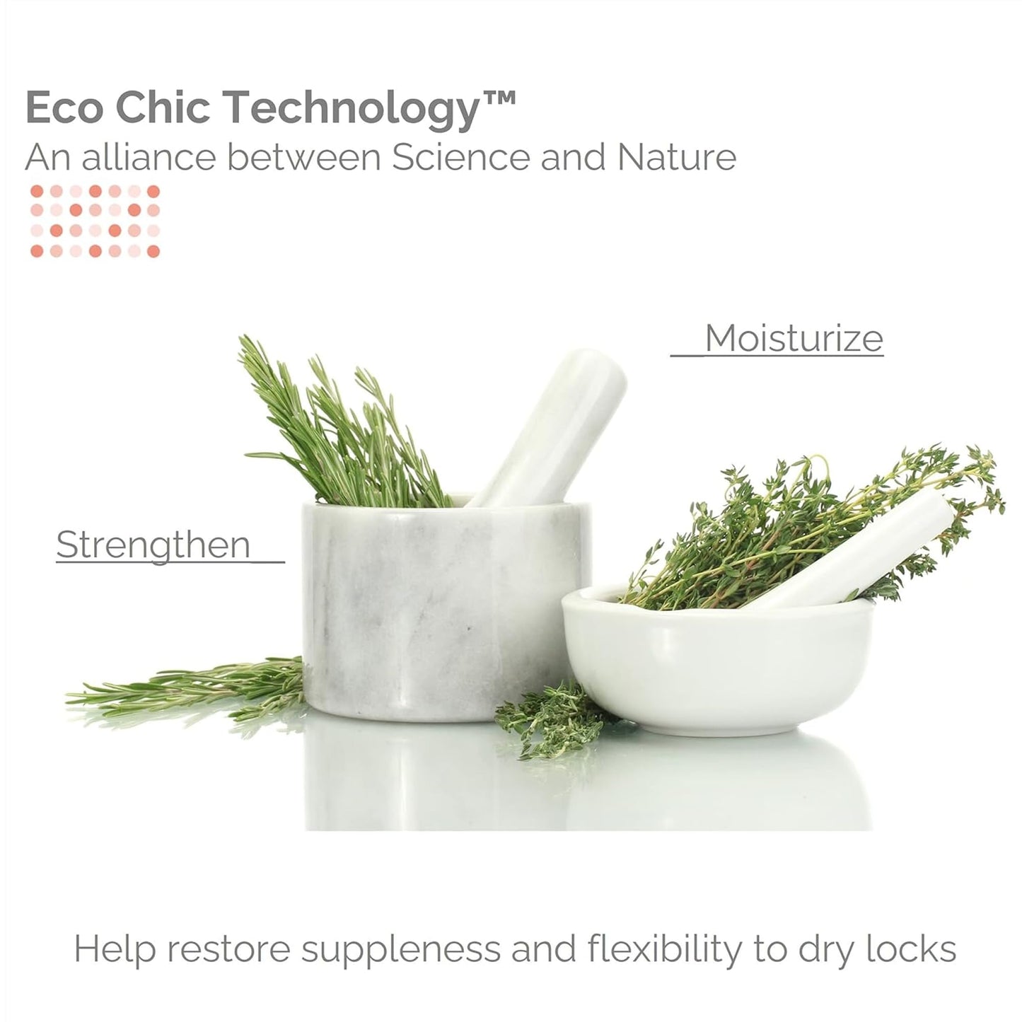 GIOVANNI Eco Chic 50:50 Travel Size Hydrating Shampoo & Conditioner Set - Leaves Hair pH Balanced for Over-Processed Hair, Moisturizes & Protects Beauty & Personal Care GIOVANNI