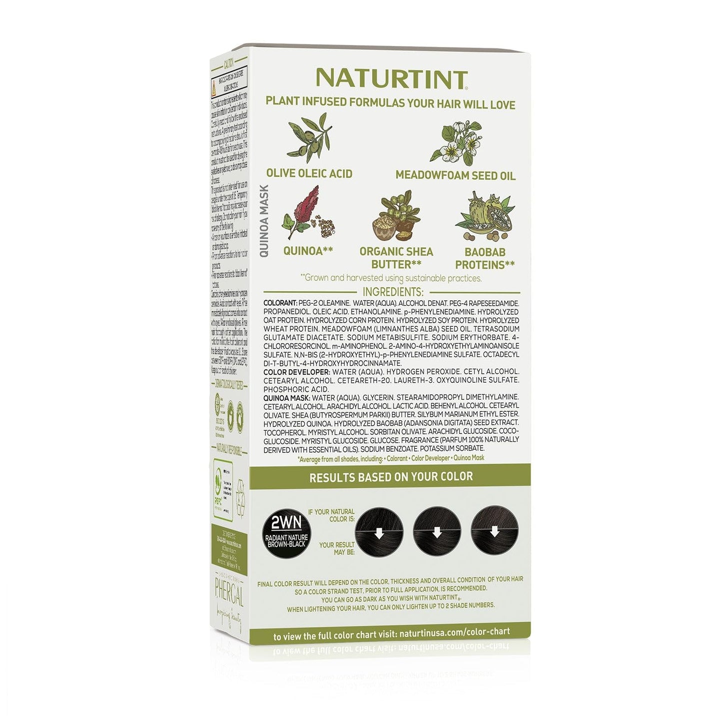 Naturtint 2WN Radiant Nature Brown Black Permanent Hair Color (Pack of 1), Ammonia Free, Vegan, Cruelty Free, up to 100% Gray Coverage, Long Lasting Beauty & Personal Care Naturtint