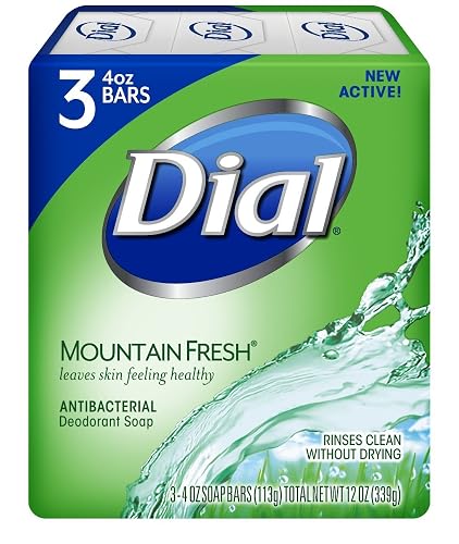 Dial Mountain Fresh Antibacterial Deodorant Soap 4.5 ounces each 3-Count (2 Pack) Beauty & Personal Care Dial