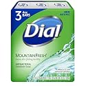 Dial Mountain Fresh Antibacterial Deodorant Soap 4.5 ounces each 3-Count (2 Pack) Beauty & Personal Care Dial