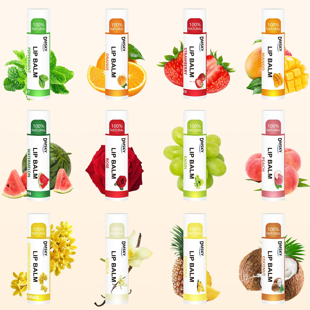 DMSKY 120 Pack Lip Balm, Natural Lip Balm Bulk with Vitamin E and Coconut Oil, Moisturizing Lip Balms for Chapped Lips-12 Flavors Beauty & Personal Care Dmsky