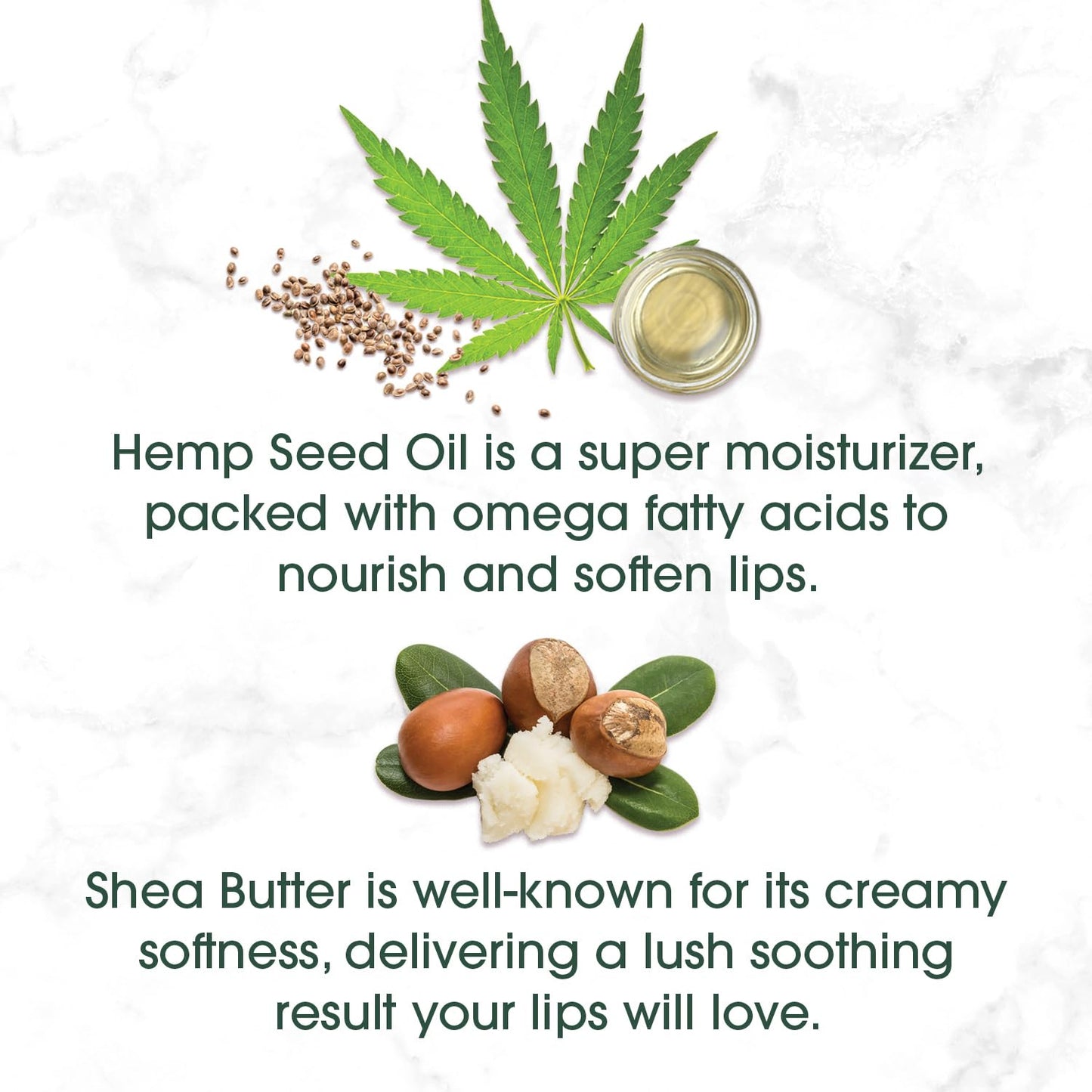 Blistex Hemp & Shea Hydration, 2 count Beauty & Personal Care Blistex