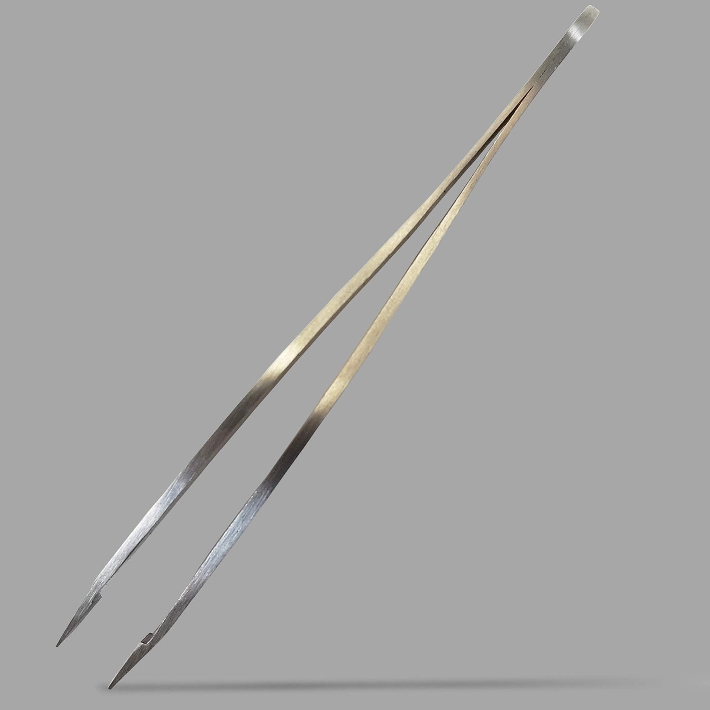 Zizzili Basics Elite Series Slant Tweezers - Surgical Grade Stainless Steel for Professionals (Satin Finish) Beauty and Personal Care Zizzili Basics