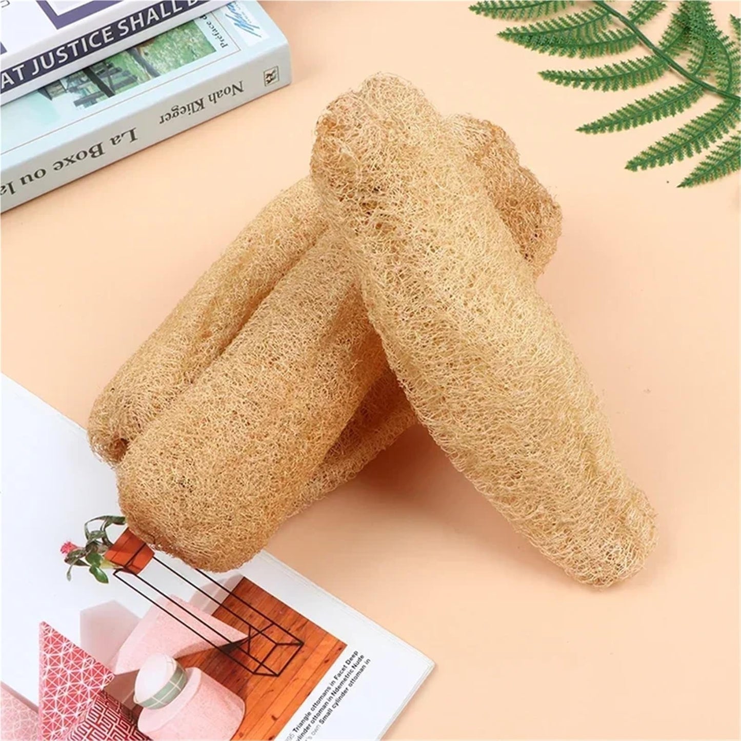 2PCS Natural Loofah Luffa Loofa Bath Body Shower Exfoliating Scrubber Sponge Kitchen Scrub Pad Rub Pot Dishes Cleaning Brush(2PCS(20-29cm)) Beauty and Personal Care HIVJEEDYH