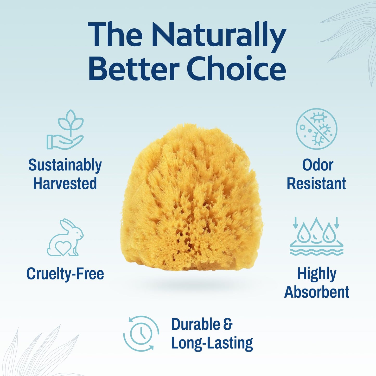 HartFelt Exfoliating Grass Sea Sponge Beauty Box - 2 Bath Sponges for Shower Women & Men 4in - Natural Sponge with Mesh Bag for Cleaning & Drying Beauty and Personal Care HartFelt