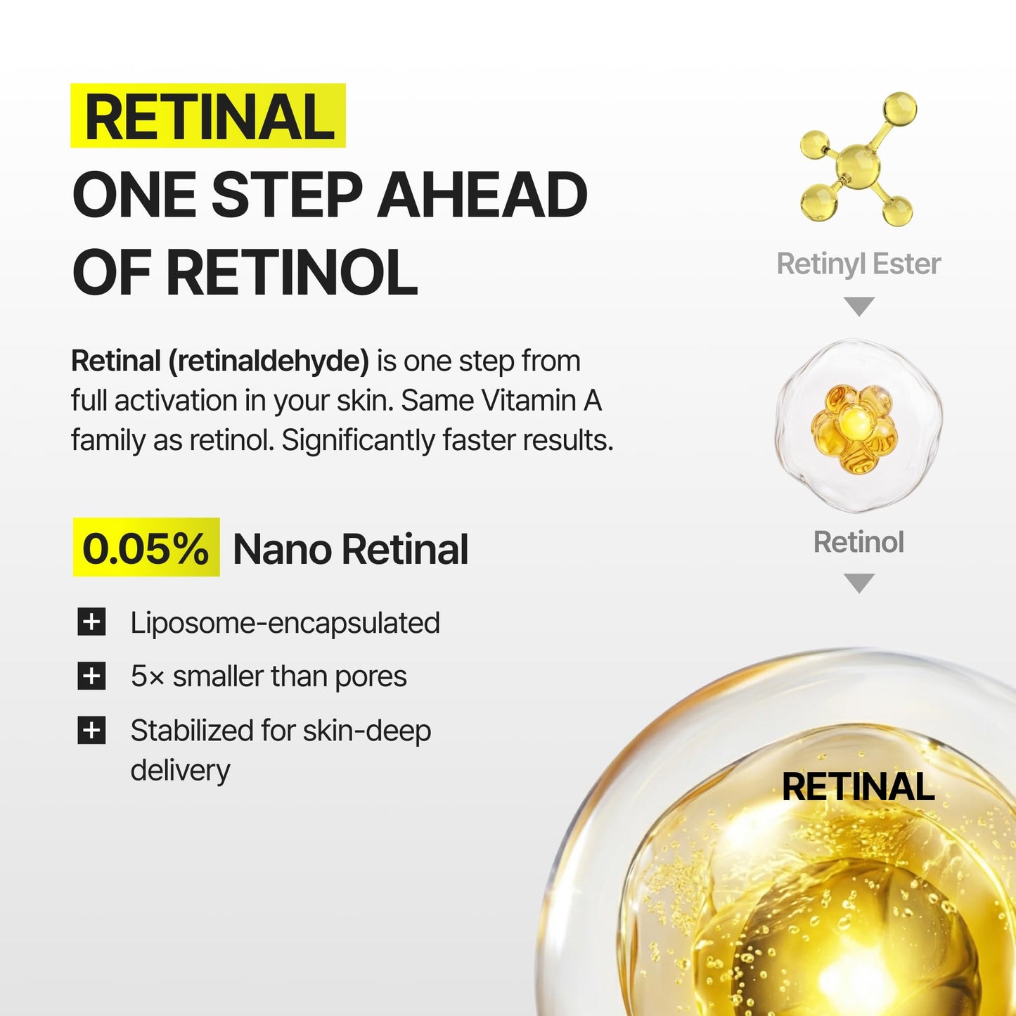 celimax The Vita-A Retinal Shot Tightening Dual Cream | 0.05% Retinal, 3% Matryxyl, 5% Panthenol, High-Strength Retinoid for Anti-Aging, Relief Cream Beauty and Personal Care celimax