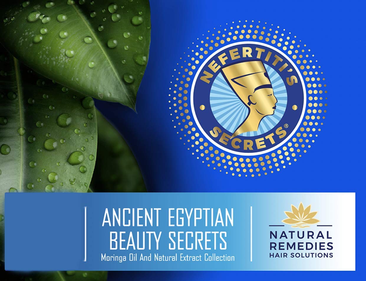 Nefertiti's Secrets Moringa Oil Organic Hair Growth - Wild Pure Rosemary Hair Oil for Nourishment, Rejuvenate & Moisturize - Curly Secret Hair Beauty & Personal Care Nefertiti's Secrets