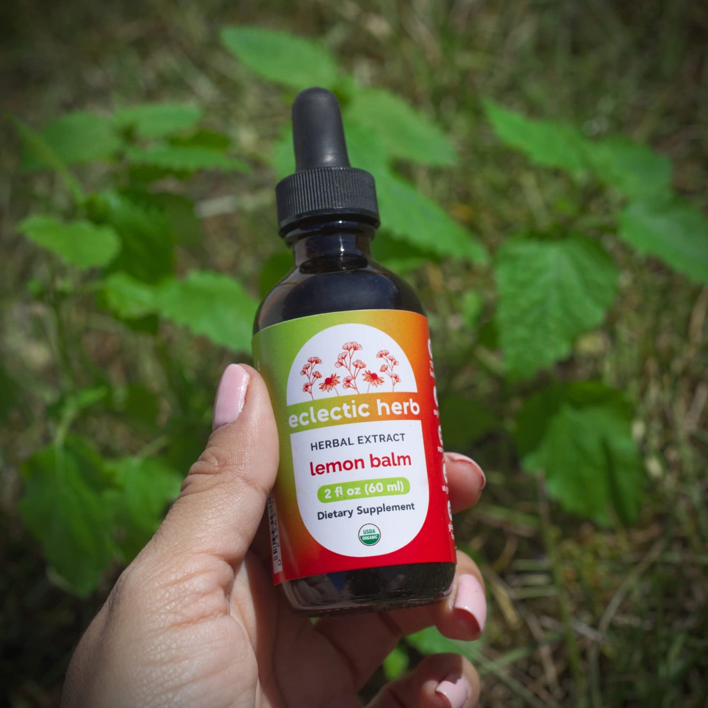 Eclectic Herb - Organic Lemon Balm Extract | Pure Herbal Drops for Calm & Relaxation | Nervous System Support | Vegan, Natural, Non GMO, Gluten Free Beauty & Personal Care ECLECTIC INSTITUTE