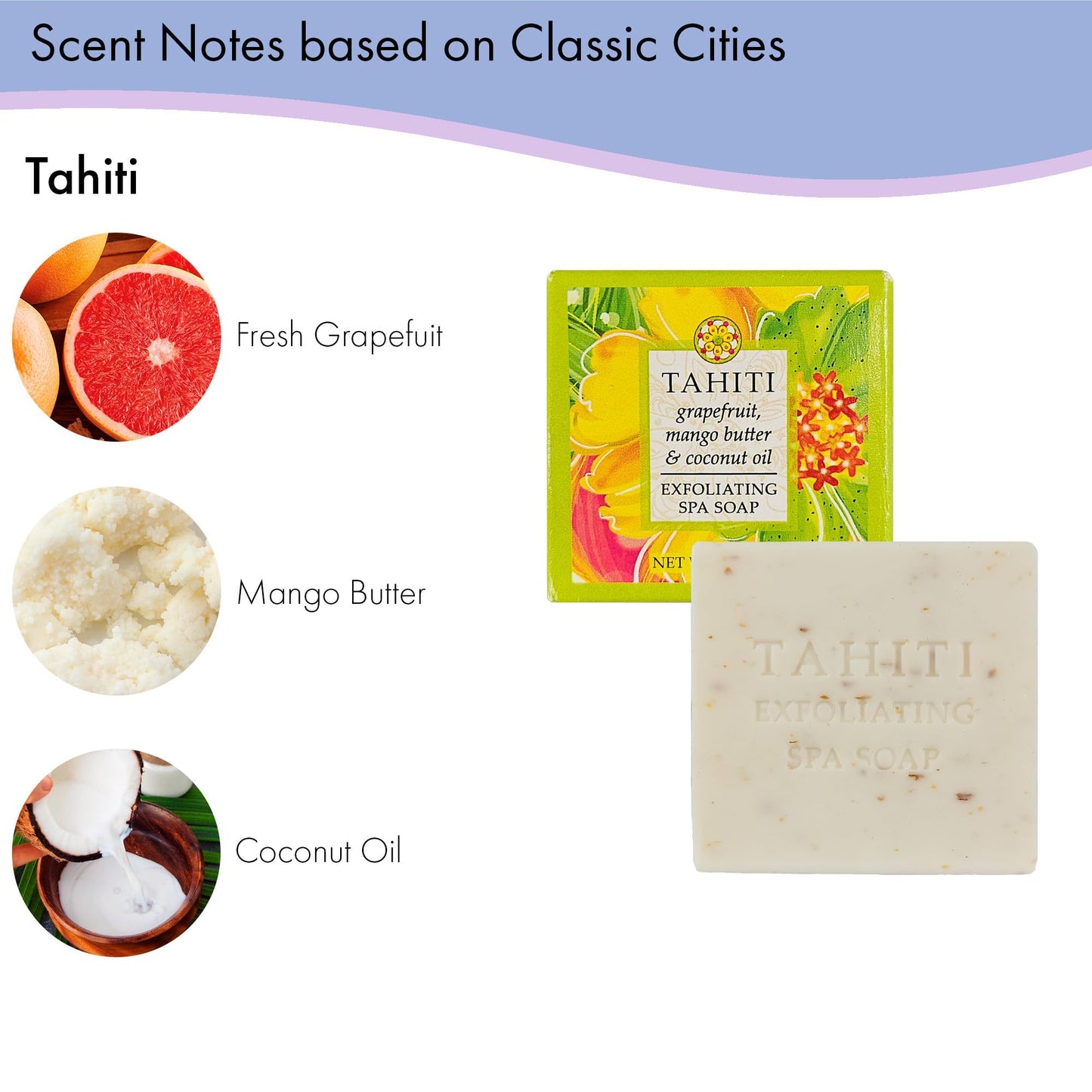 Destination Soap Sampler- Set of 8 Exfoliating Spa Soap Bars- Enriched with Shea Butter and Essential Oils- Sicily, Kyoto, London, Paris, Morocco Beauty & Personal Care Greenwich Bay
