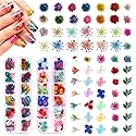 216PCS Dried Flowers - Nail Art Accessories Kits, 57 Color Lovely Natural Dried Flowers for Resin Molds and Nails, YWLI Beauty & Personal Care YWLI