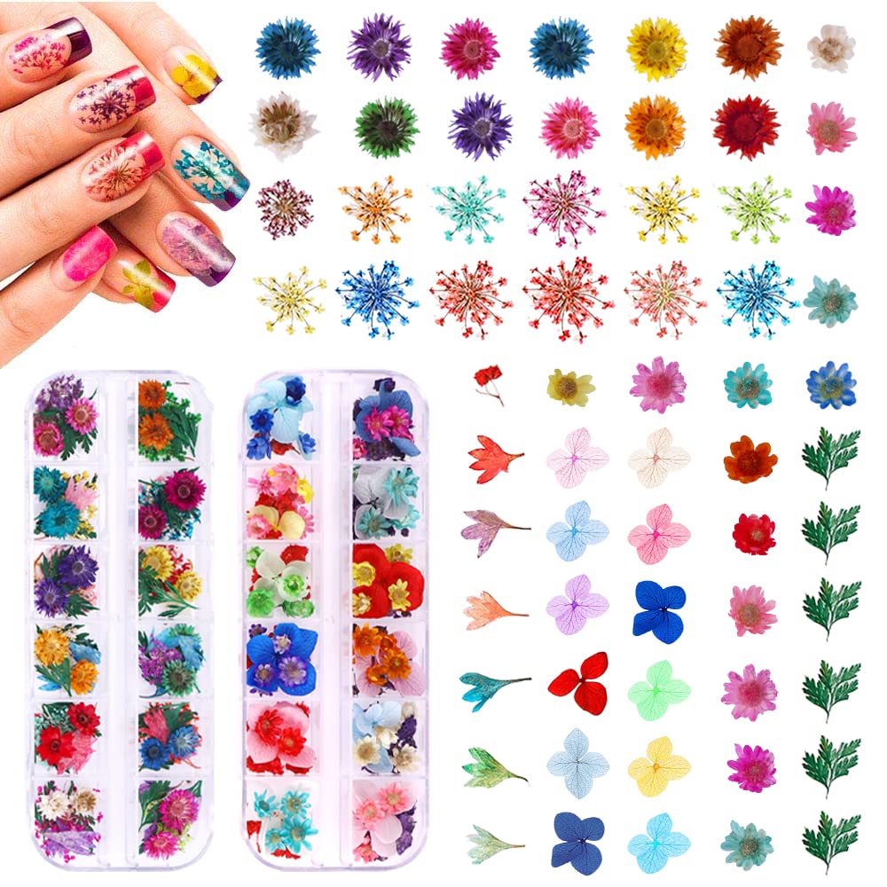 216PCS Dried Flowers - Nail Art Accessories Kits, 57 Color Lovely Natural Dried Flowers for Resin Molds and Nails, YWLI Beauty & Personal Care YWLI