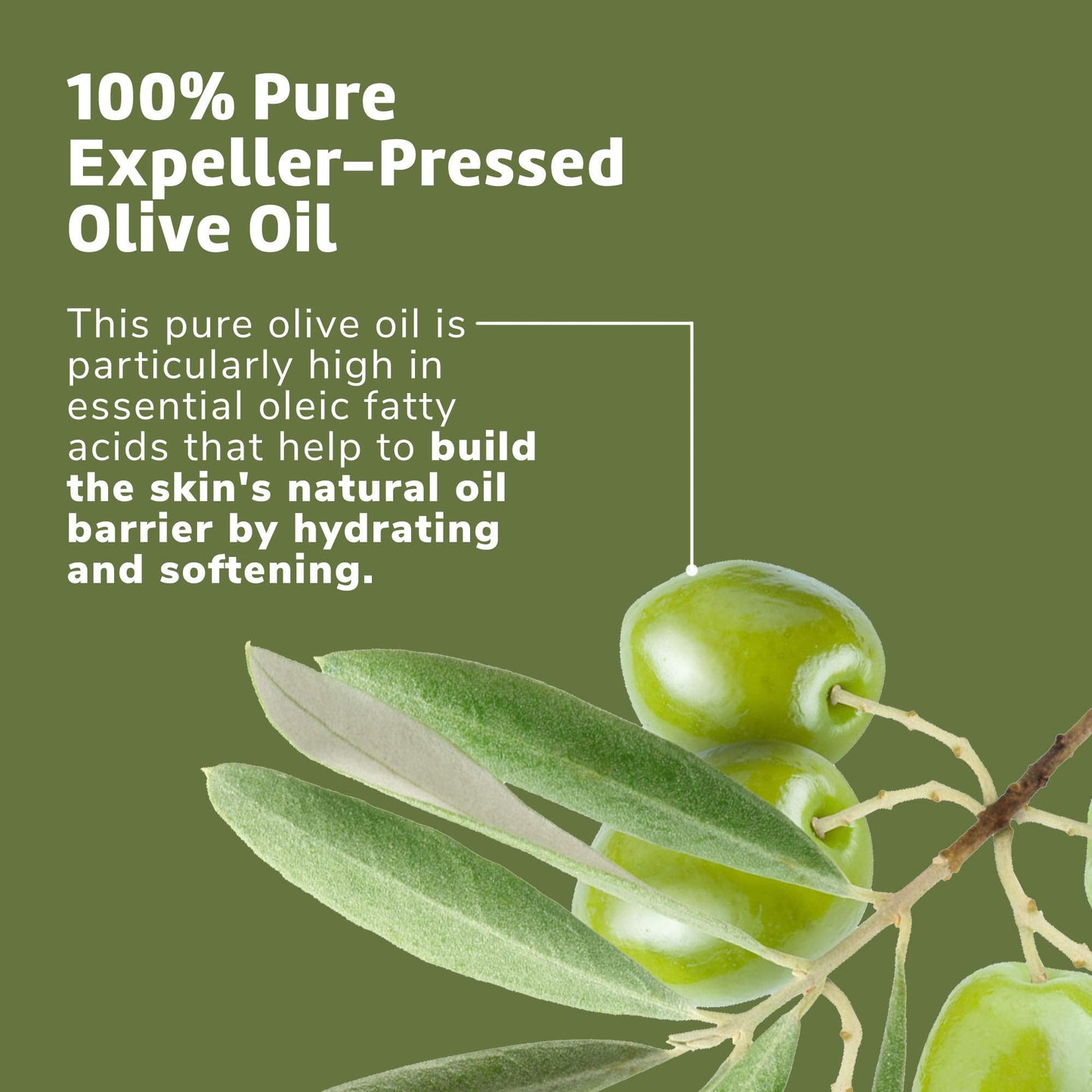 De La Cruz Pure Olive Oil - Natural Expeller Pressed Olive Oil for Hair and Skin - Lightweight Body Oil for Dry Skin 2 Fl Oz (2 Bottles) Beauty & Personal Care De La Cruz
