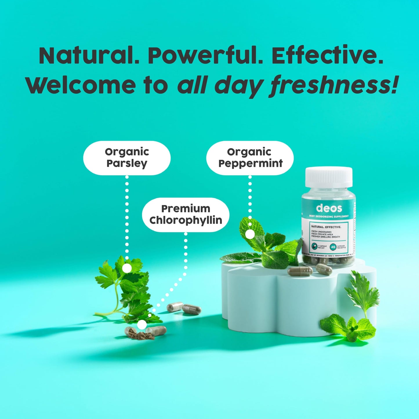 DEOS® Internal Deodorant Supplement [Natural Odor Control] - Full Body Deodorizing Capsules for Gut & Skin Health, Detox & Digestion Support Beauty and Personal Care DEOS