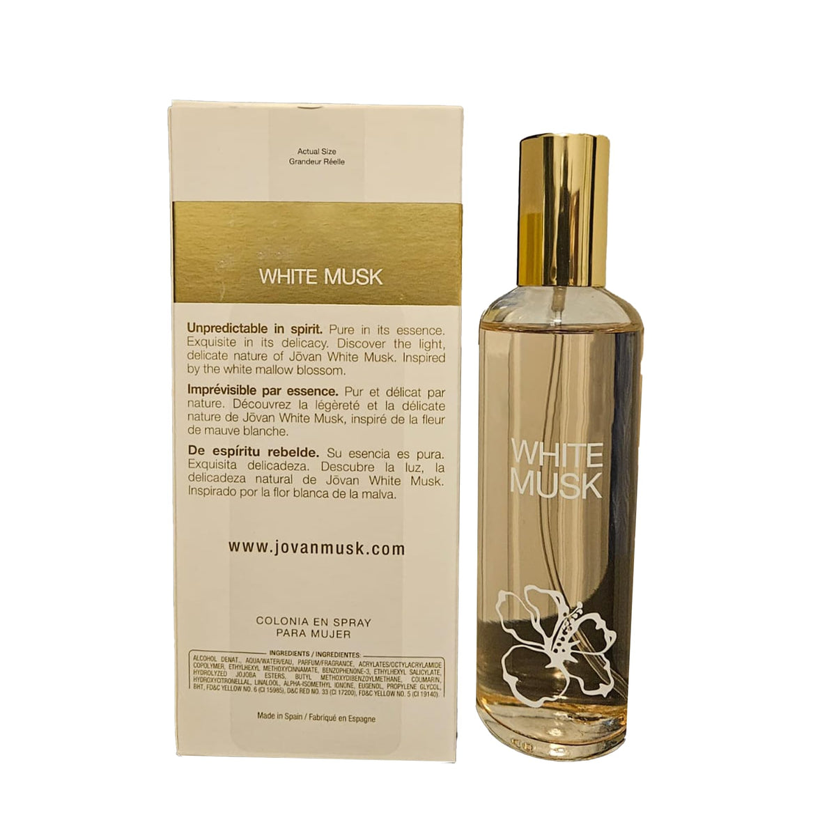 COTY Jovan White Musk Ladies - Cologne 3.25 oz Beauty & Personal Care Coty