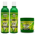 BOE Crece Pelo 3 in 1 Combo Set Shampoo Fitoterapeutico, Rinse Fitoterapeutico, Tratamiento Fitoterapeutico Beauty & Personal Care BOÉ COSMETICS