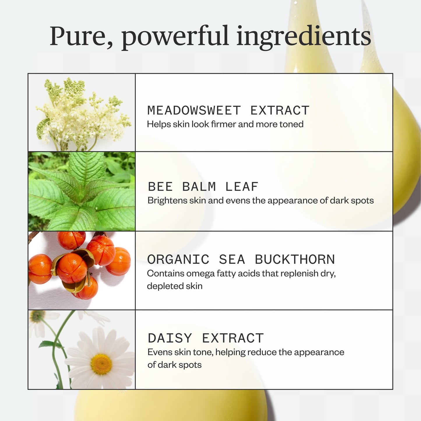 Ursa Major Golden Hour Body Serum | Firms, Smooths & Revitalizes Skin’s Appearance | Hydrates and Moisturizes | Evens Tone and Texture | Vegan Beauty & Personal Care Ursa Major