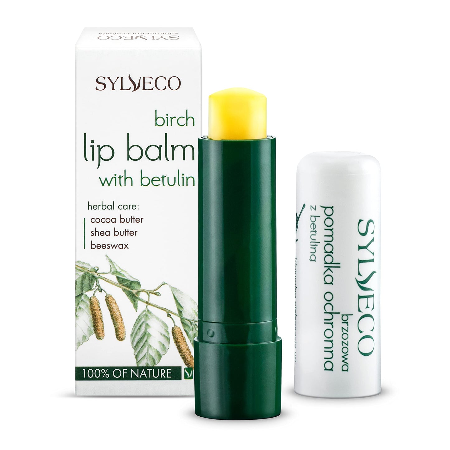 Protective Lip Balm with Birchwood Betuline and Natural Oils by Sylveco Beauty and Personal Care SYLVECO