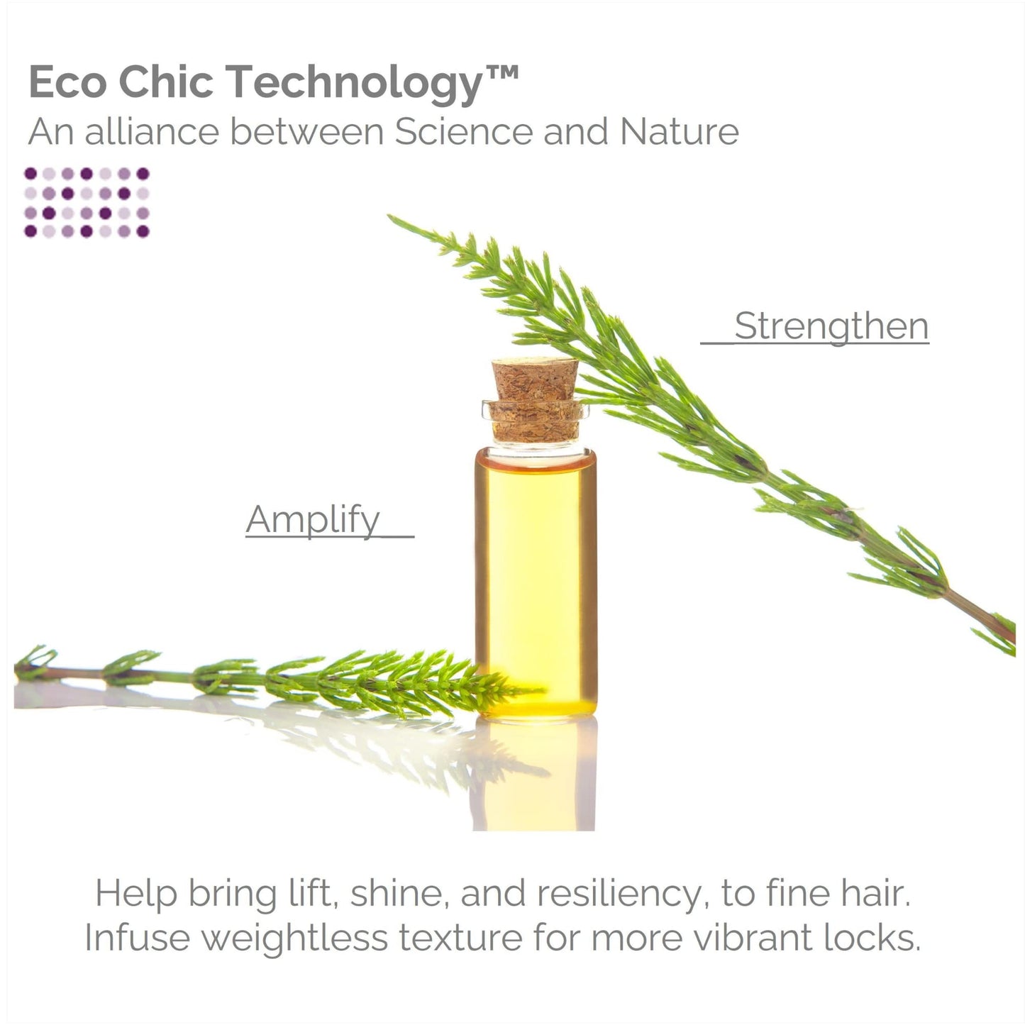 GIOVANNI 2chic Root 66 Max Volume Conditioner - Conditioner for Fine Hair, Helps Strengthen & Protect Fine, Lifeless Hair, Volumizing Conditioner Beauty & Personal Care GIOVANNI