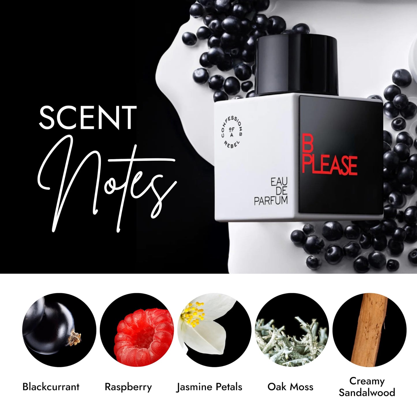 B Please 3.4 oz - Rebel Hair Mist Perfume for Women - Hair Fragrance Spray - Feminine Scent Beauty & Personal Care Confessions of a Rebel