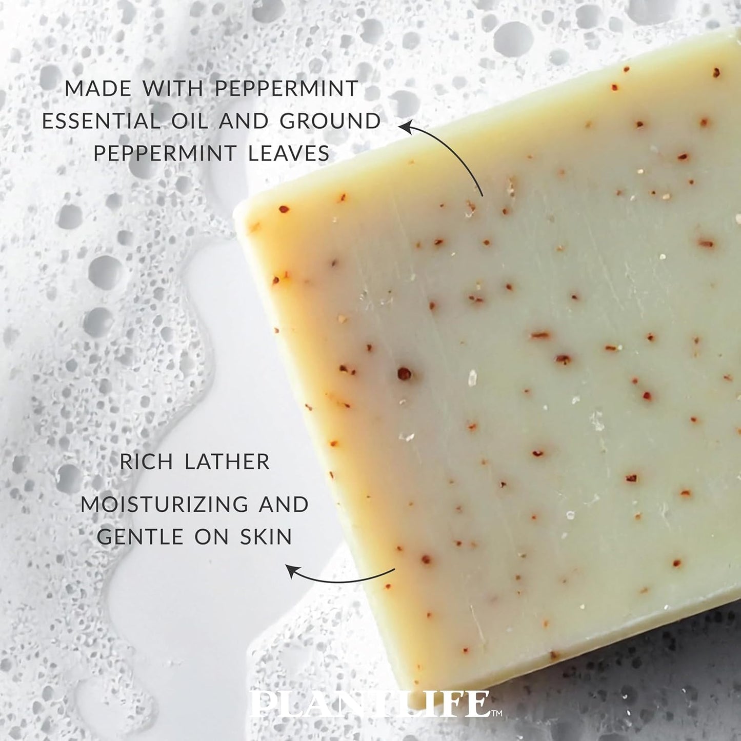 Plantlife Peppermint Bar Soap Pack of 2 - Moisturizing and Soothing Soap for Your Skin - Hand Crafted Using Plant-Based Ingredients - Made in Beauty & Personal Care Plantlife