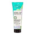 Carol's Daughter Born To Repair Nourishing Shampoo, Sulfate-Free Hair Care for Curly Hair with Shea Butter, 11 Fl Oz Beauty & Personal Care Carol's Daughter