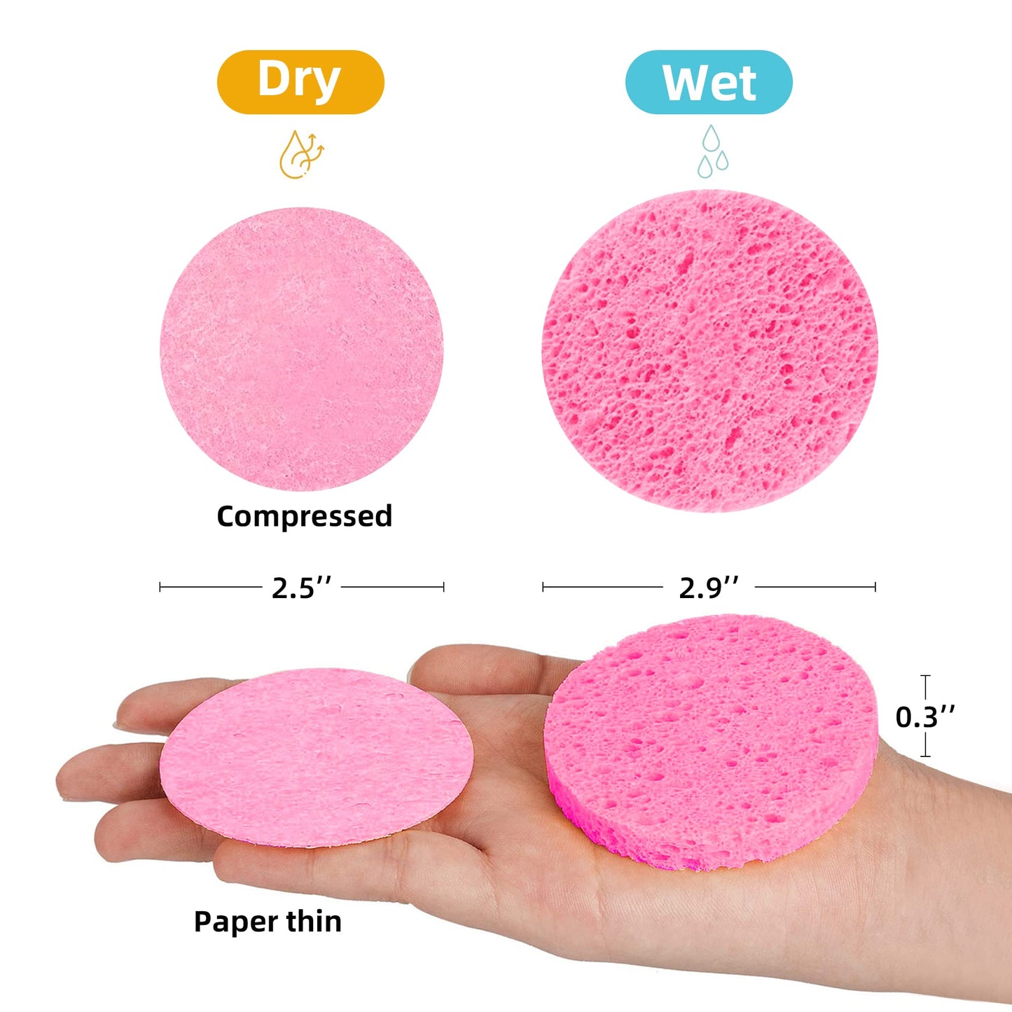 60-Count Compressed Facial Sponges|100% Natural Kickleen Cellulose Cosmetic Spa Sponges for Daily Facial Cleansing|Makeup and Mask Removal | Beauty & Personal Care kickleen