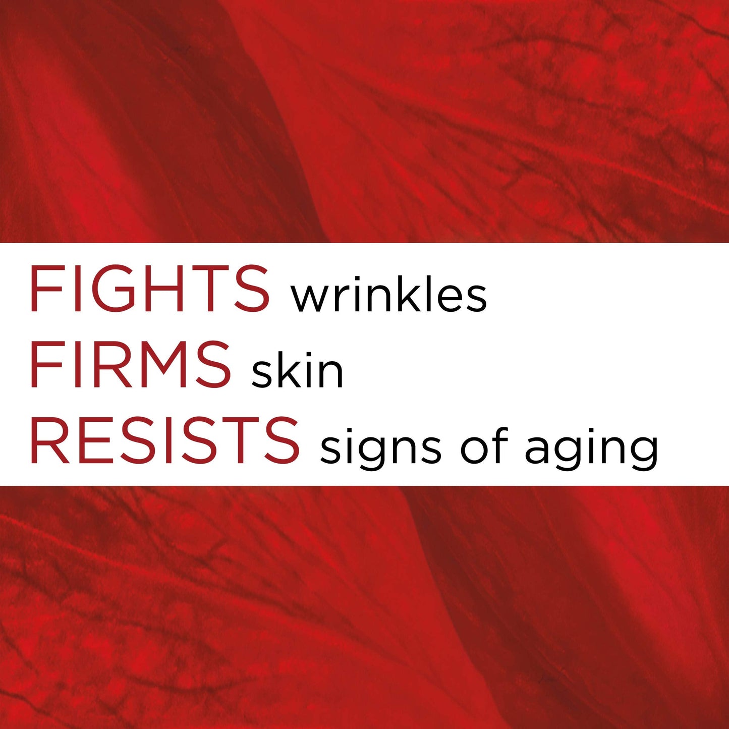 L'Oréal Paris Revitalift Anti-Wrinkle and Firming Face Moisturizer with SPF 25, Pro-Retinol and Centella Asiatica, Paraben Free, 1.7 oz (Packaging may Beauty & Personal Care L'Oreal Paris