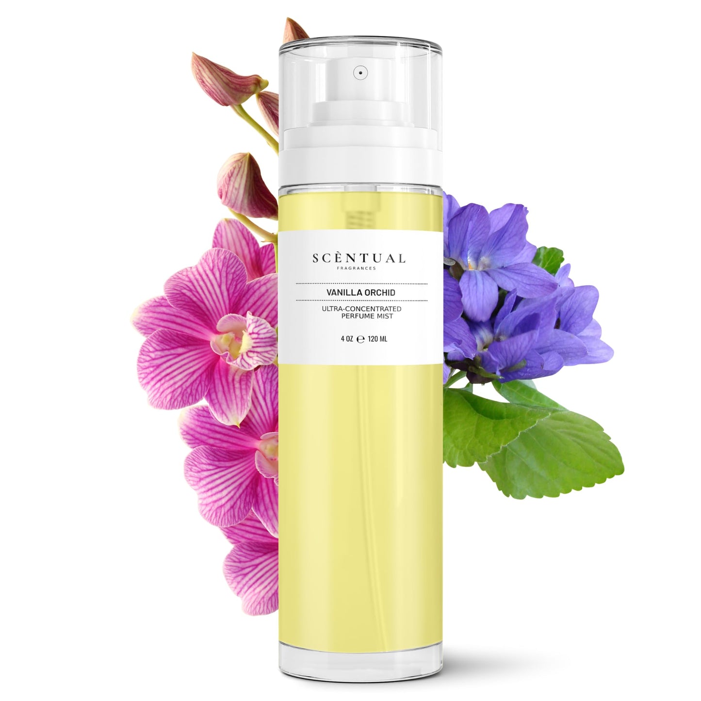 Scentual Fragrances, Ultra-Concentrated Hair & Body Perfume Mist, Long Lasting Women's Fragrance, Gourmand Perfumes for Women, Vegan and Cruelty Free Beauty & Personal Care Scentual Fragrances