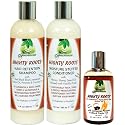 Fountain Mighty Roots Jamaican Pimento and Black Castor Oil with Shampoo and Conditioner Receding Hairline Combo Beauty & Personal Care Fountain