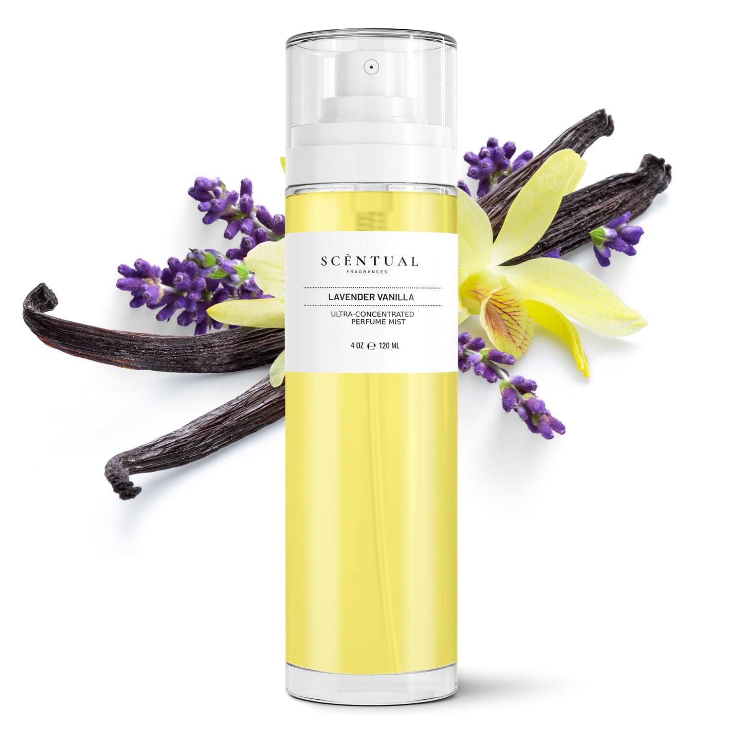 Scentual Fragrances, Ultra-Concentrated Hair & Body Perfume Mist, Long Lasting Women's Fragrance, Gourmand Perfumes for Women, Vegan and Cruelty Free Beauty & Personal Care Scentual Fragrances