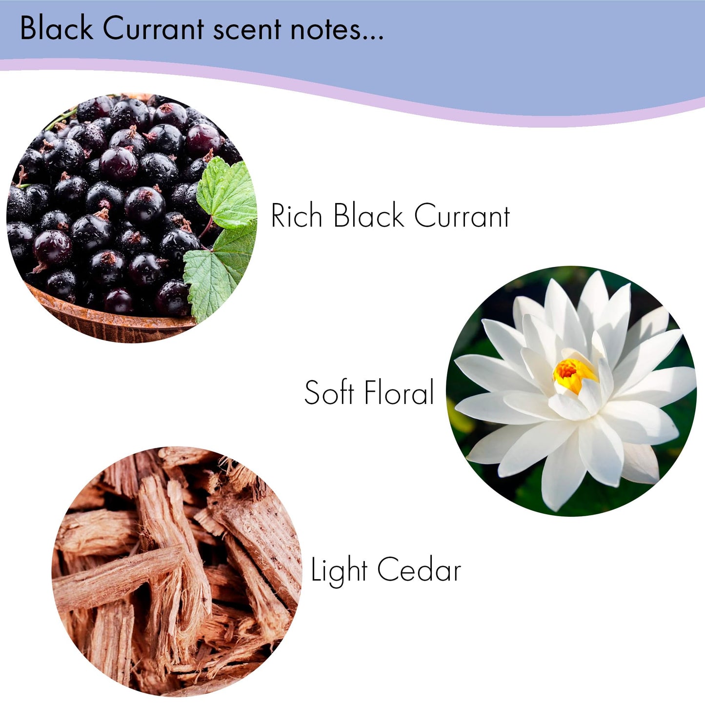 Floral Soap Sampler-Set of 6- Enriched with Shea Butter, Essential Oils, Natural Extracts (African Violet, Black Currant, Almond Butter, Lavender Beauty & Personal Care Greenwich Bay