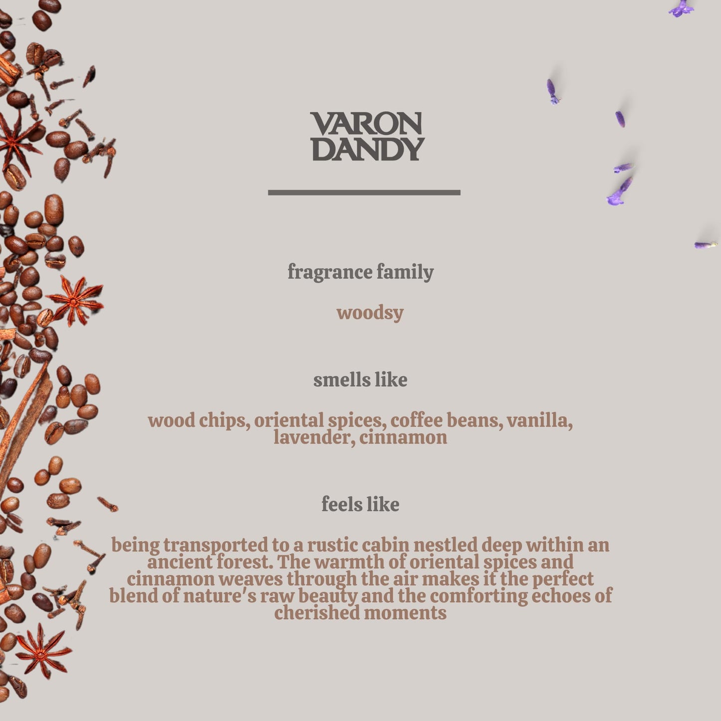 Varon Dandy Eau de Toilette and Deodorant Roll-on Gift Set for Men - 100ml EDT & 50ml Roll-on, Classic Fragrance and Long-lasting Freshness Beauty & Personal Care VARON DANDY
