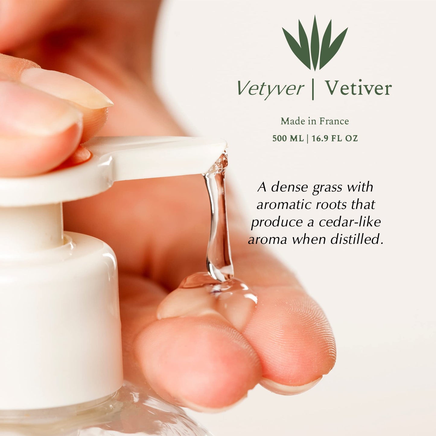 Provence Sante Natural Liquid Soap - Moisturizing Almond Oil Hand Soap with Aromatic Vetiver Scent - Elegant Pump Dispenser for Kitchen & Bath (16.9 Beauty & Personal Care Provence Sante