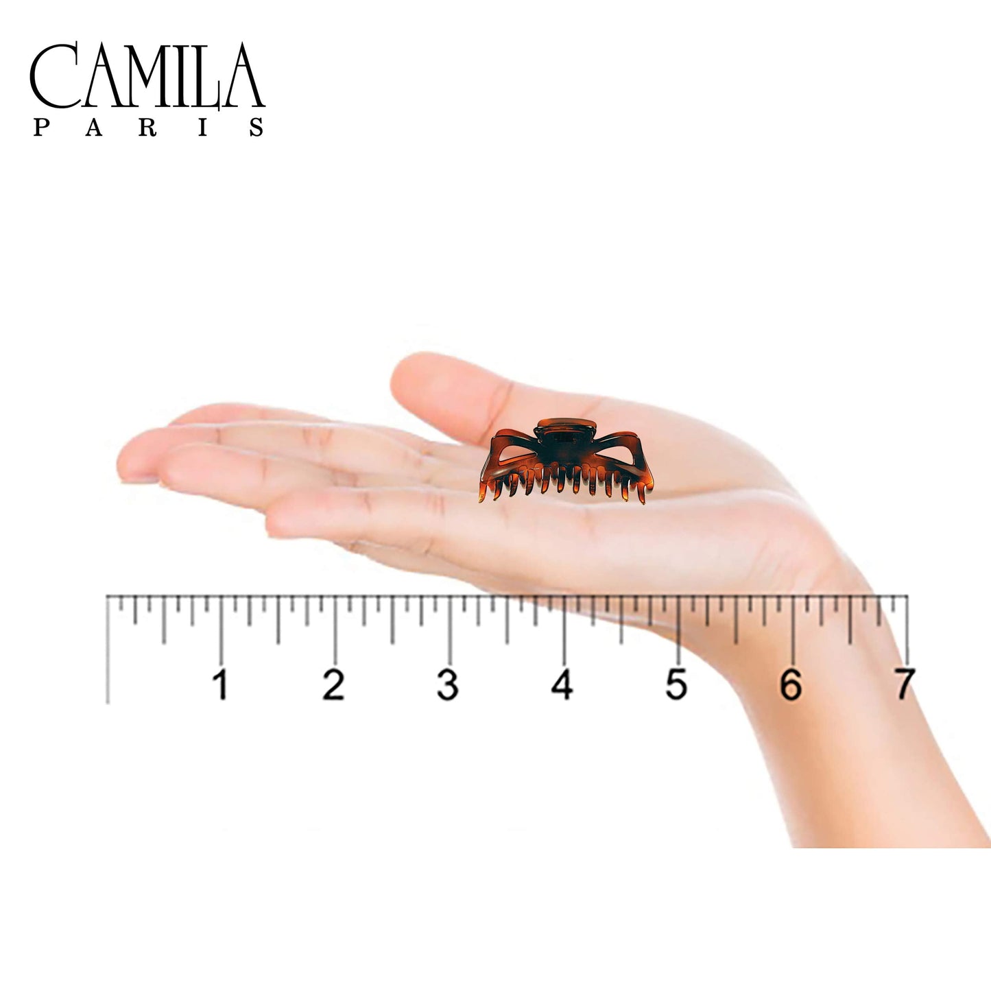 Camila Paris CP22/2 French Hair Clip for Women, 1.5 inch Set of 2 Tortoise Girls Hair Claw Clips Jaw Fashion Durable Styling Hair Accessories Beauty & Personal Care Camila