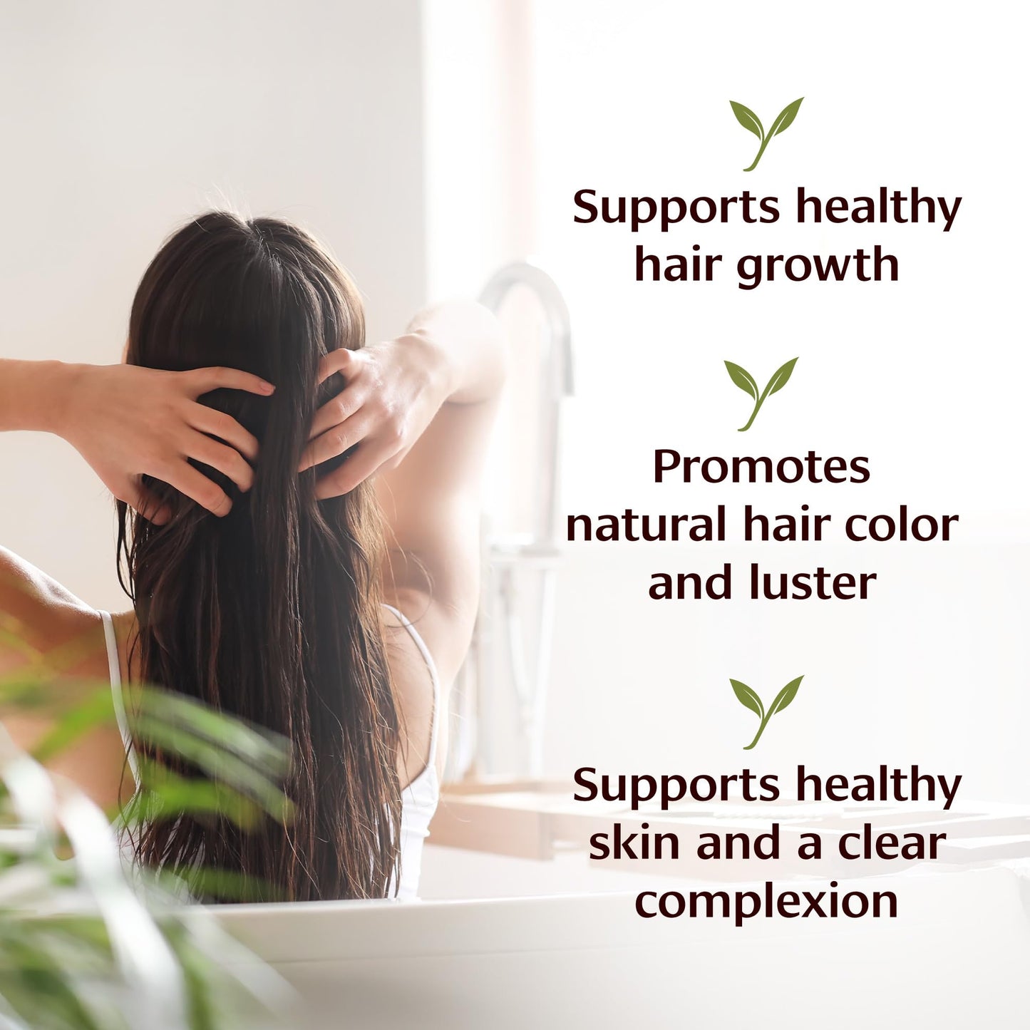Banyan Botanicals Organic Bhringaraj Oil - Supports Healthy Hair Growth - Oil Made with Traditional Methods - 8 oz. - Non-GMO Sustainably Sourced Beauty & Personal Care Banyan Botanicals