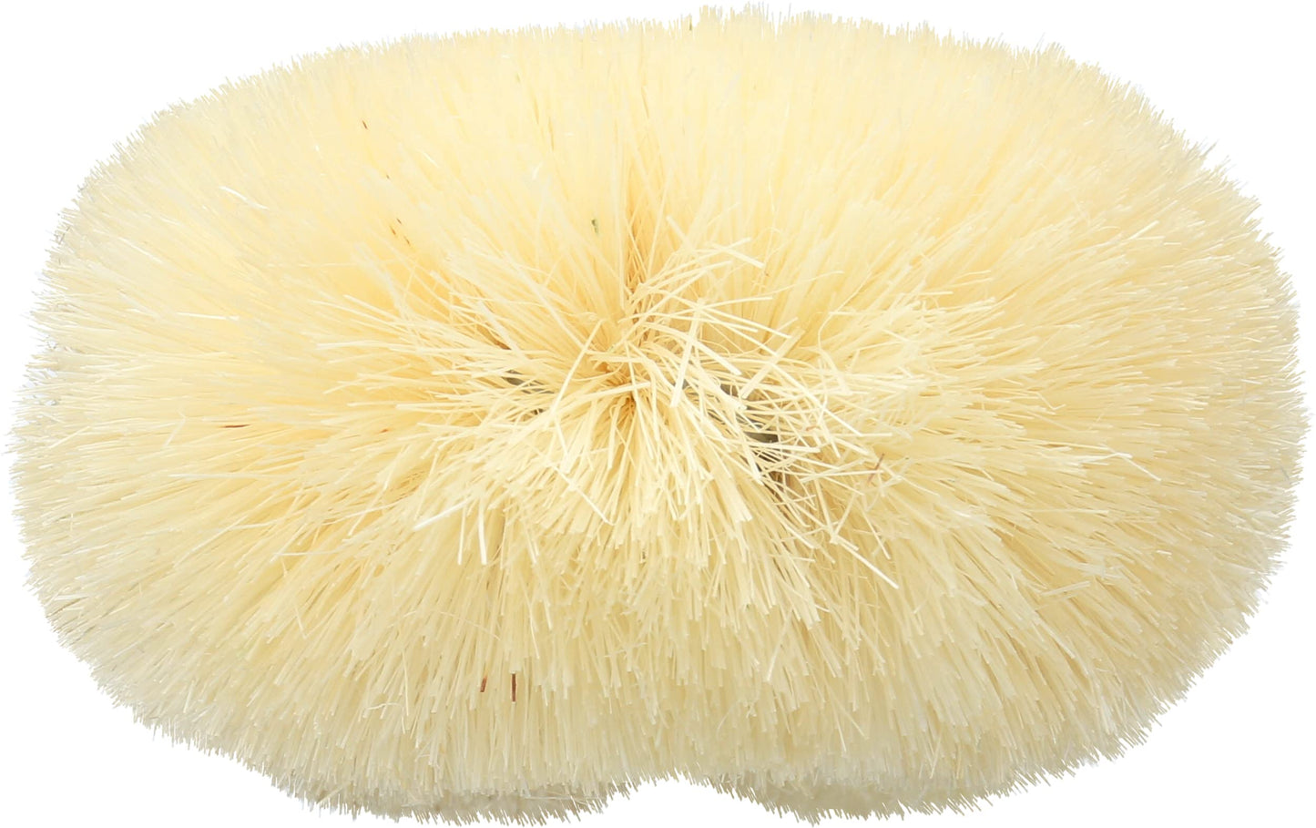 Baudelaire Sisal Bath Brush for Shower - 9 in - Traditional Japanese-Style Loofah Brush for Excellent Body Exfoliation - Essential Back Scrubber That Beauty & Personal Care Baudelaire