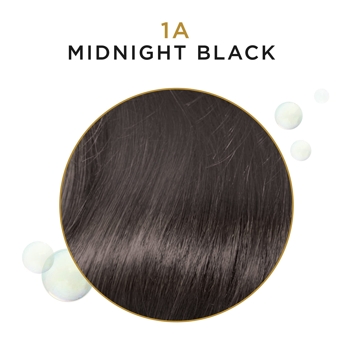 Clairol Professional Beautiful Collection Advanced Gray Solutions, 1A Midnight Black, 3 oz. - Packaging May Vary Beauty & Personal Care Clairol Professional