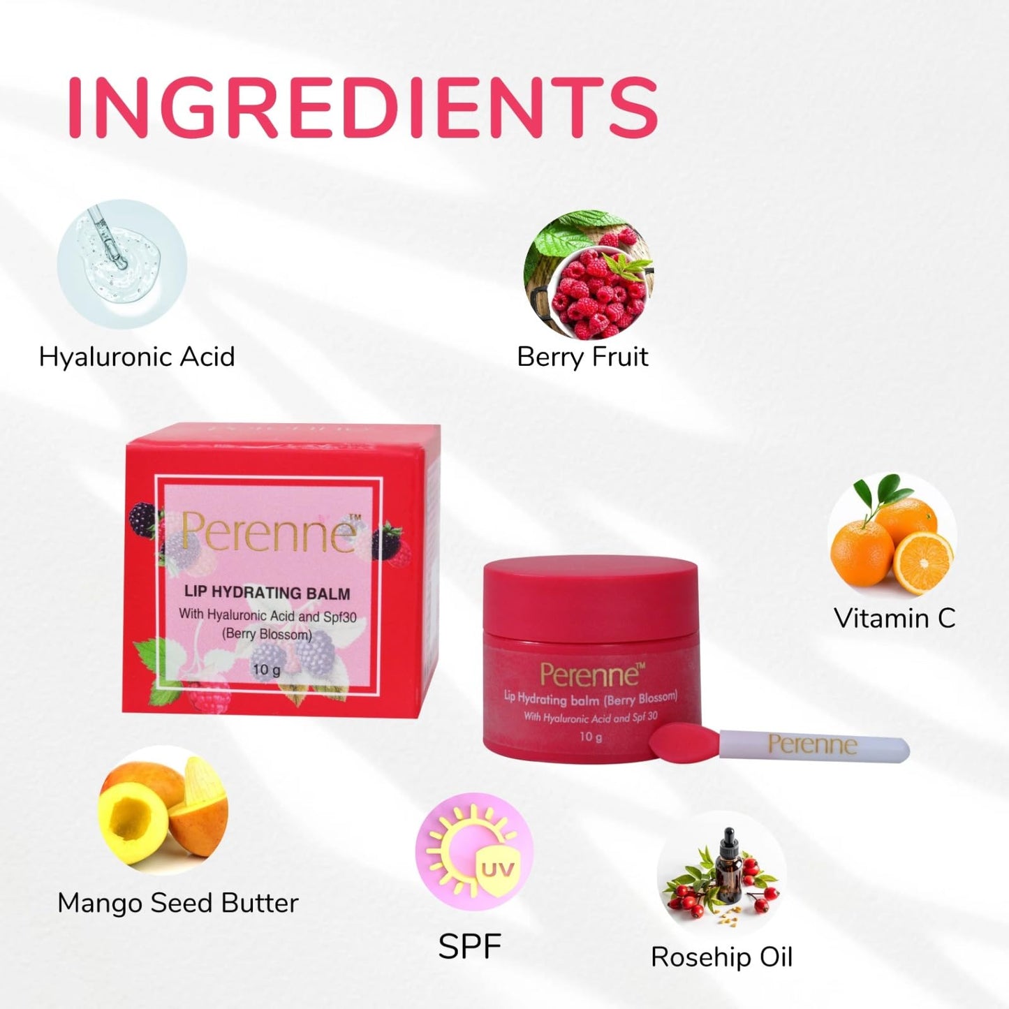 Perenne Lip Hydrating balm For (Berry blossom) With Hyaluronic acid and SPF (10 gm) Beauty and Personal Care Perenne