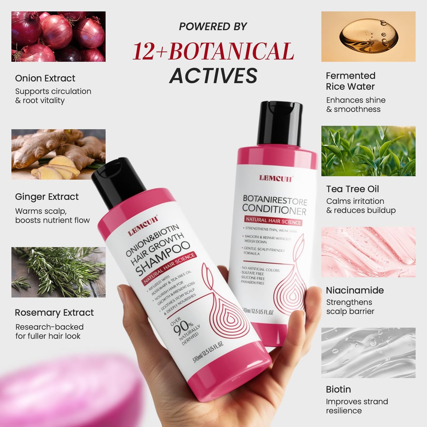 Onion Shampoo and Conditioner For Hair Growth - Onion Hydrosol Shampoo Duo With Biotin, Rosemary For Thinning and Healthier Thicker hair - Paraben Beauty & Personal Care Lemcuh