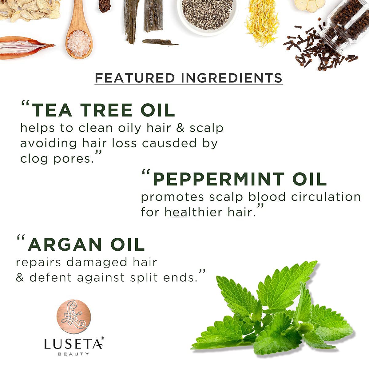 Luseta Tea Tree and Mint Conditioner Cleaning & Smoothing, Anti-Dandruff Conditioner 16.9 Oz, Sulfate Free & Paraben Free Beauty & Personal Care L LUSETA