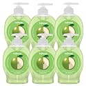 Softsoap Liquid Hand Soap with Pump, Limited Edition Summer Scents, 6.25 Fl Oz, 6 Pack (Green Apple) Beauty & Personal Care Softsoap