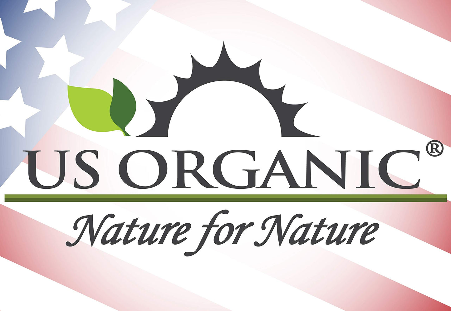 US Organic Grape Seed Oil, USDA Certified Organic, 100% Pure & Natural, Cold Pressed Virgin, Unrefined, in Amber Glass Bottle Beauty & Personal Care US Organic