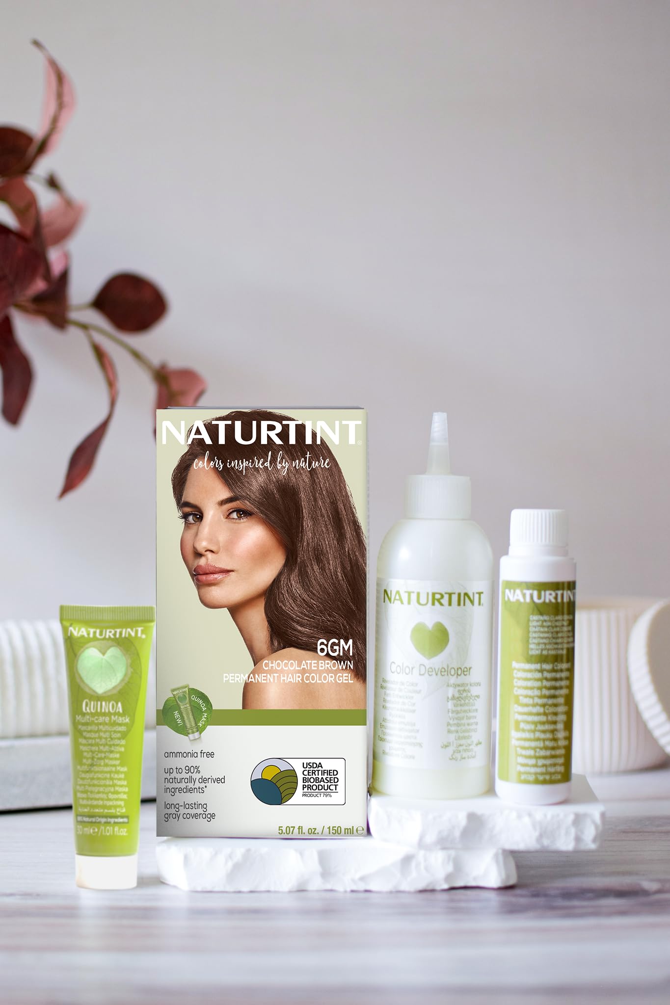 Naturtint 6GM Chocolate Brown Permanent Hair Color (Pack of 6), Ammonia Free, Vegan, Cruelty Free, up to 100% Gray Coverage, Long Lasting Results Beauty & Personal Care Naturtint
