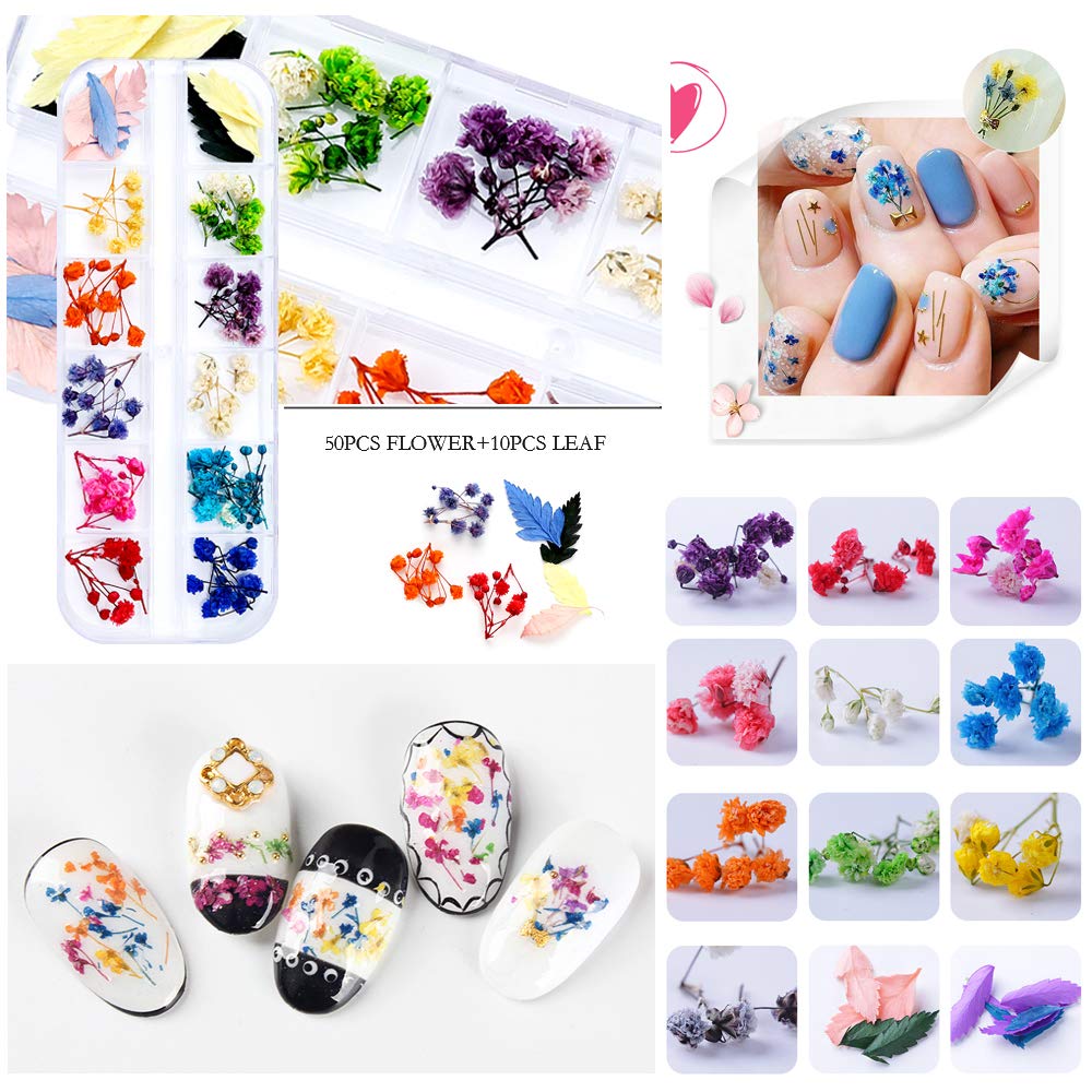iFancer 108 Pcs Dried Flowers for Resin Nail Art 62 Colors 3D Dry Flowers for Nails 2 Boxes Small Tiny Dried Flowers for Nail Art Little Pressed Real Beauty & Personal Care iFancer
