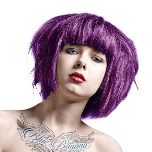 La Riche Directions Semi-Permanent Hair Colour 88ml x 2 tubs Violet by La Riche Beauty & Personal Care La Riche