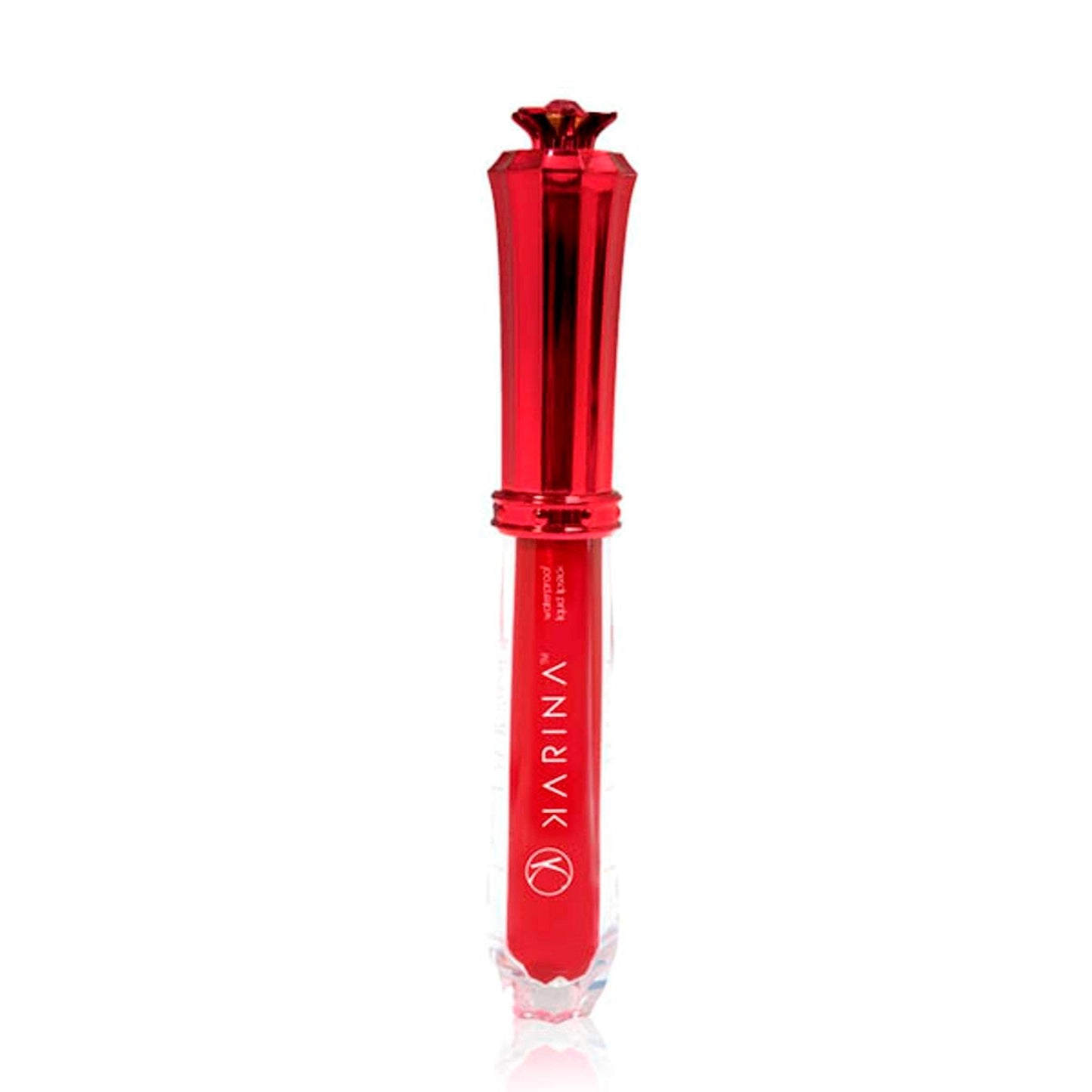 LA Splash x Karina Smirnoff Waterproof Matte Liquid Lipstick Randevous, Paraben-Free, Vegan, Gluten-Free Beauty & Personal Care LA Splash