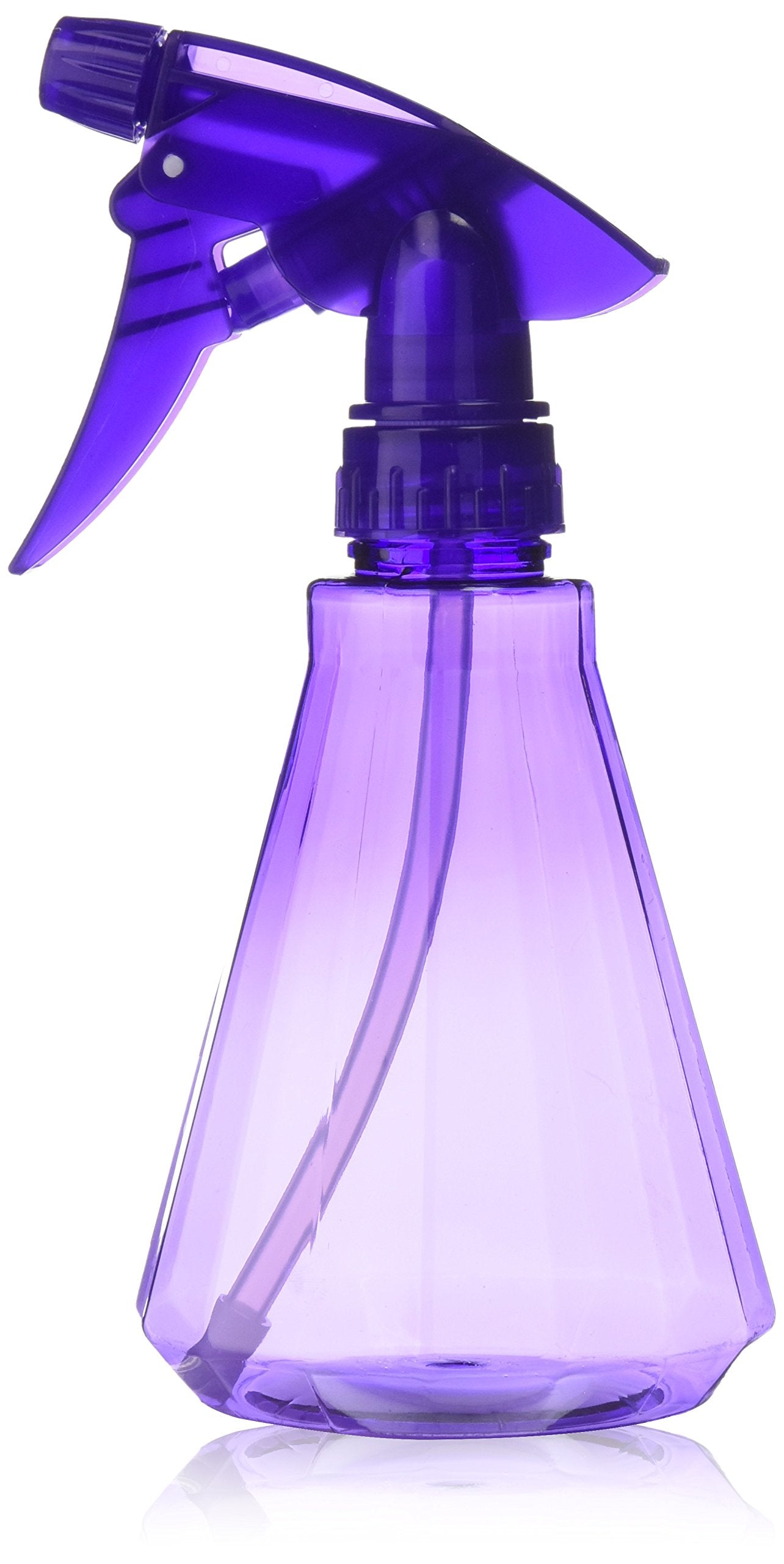 Soft 'N Style Sparkler Bottle, 12 oz Beauty & Personal Care Soft 'N Style